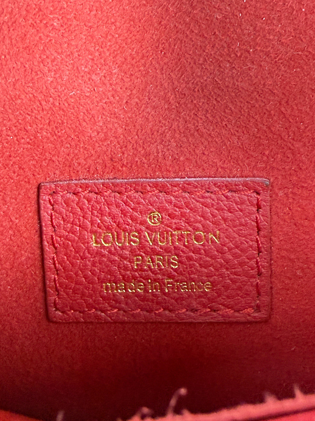 Borsa Louis Vuitton autentica✅